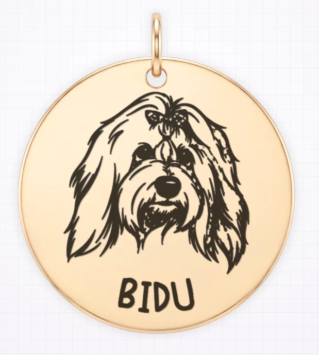 A gold pendant engraved with a dog's portrait and the name BIDU